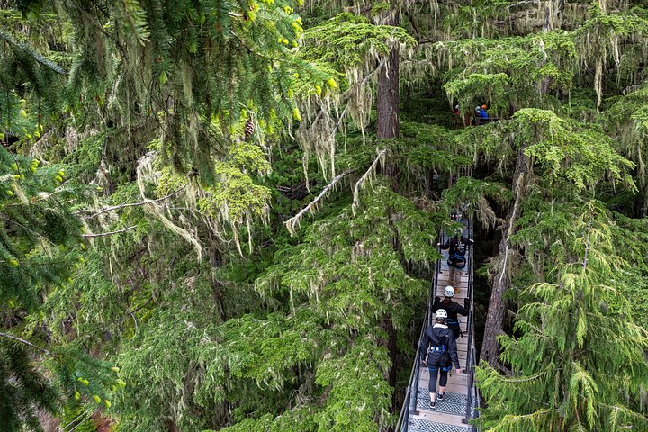 Oplev spændende zipline-eventyr højt over Whistlers fantastiske bjerglandskaber, foto 19 | wizardtrip