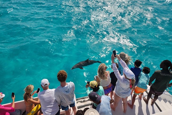 Excursion d'une demi-journée de snorkeling et d'exploration d'île depuis Providenciales, Turks et Caicos, photo 7 | wizardtrip