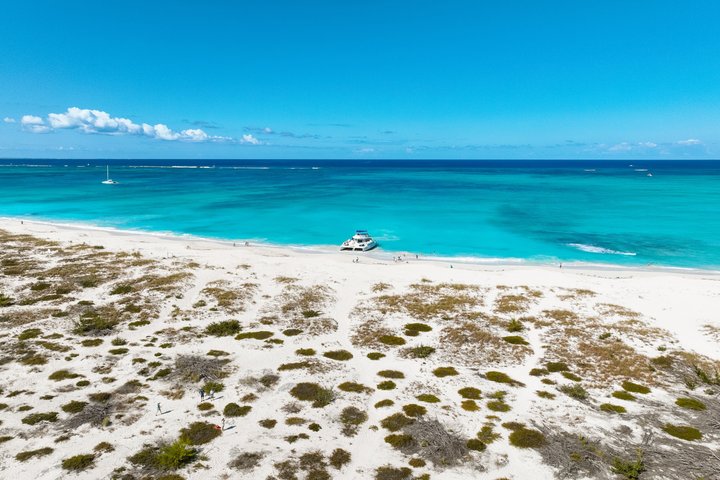 Excursion d'une demi-journée de snorkeling et d'exploration d'île depuis Providenciales, Turks et Caicos, photo 8 | wizardtrip