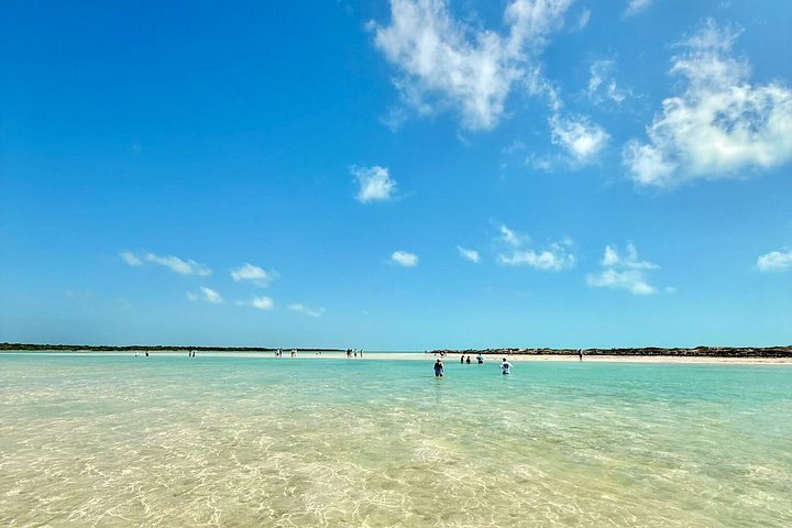Excursion d'une demi-journée de snorkeling et d'exploration d'île depuis Providenciales, Turks et Caicos, photo 14 | wizardtrip