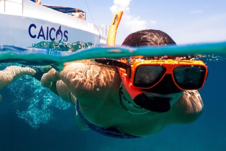 Excursion d'une demi-journée de snorkeling et d'exploration d'île depuis Providenciales, Turks et Caicos, photo 15 | wizardtrip