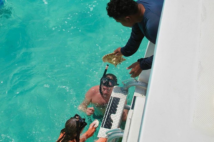 Excursion d'une demi-journée de snorkeling et d'exploration d'île depuis Providenciales, Turks et Caicos, photo 19 | wizardtrip