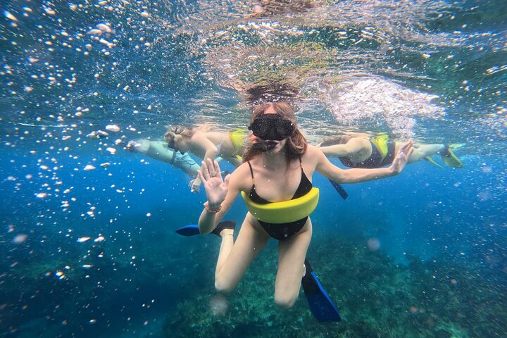 Excursion d'une demi-journée de snorkeling et d'exploration d'île depuis Providenciales, Turks et Caicos, photo 20 | wizardtrip