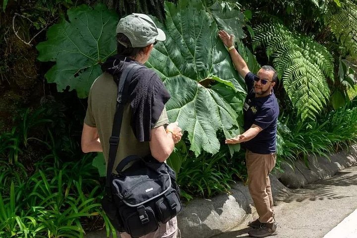 Heldagstur i Costa Rica med Poás-vulkanen, La Paz Waterfall Gardens och en kaffeplantage, foto 6 | wizardtrip