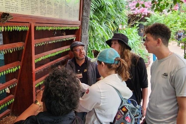Heldagstur i Costa Rica med Poás-vulkanen, La Paz Waterfall Gardens och en kaffeplantage, foto 20 | wizardtrip