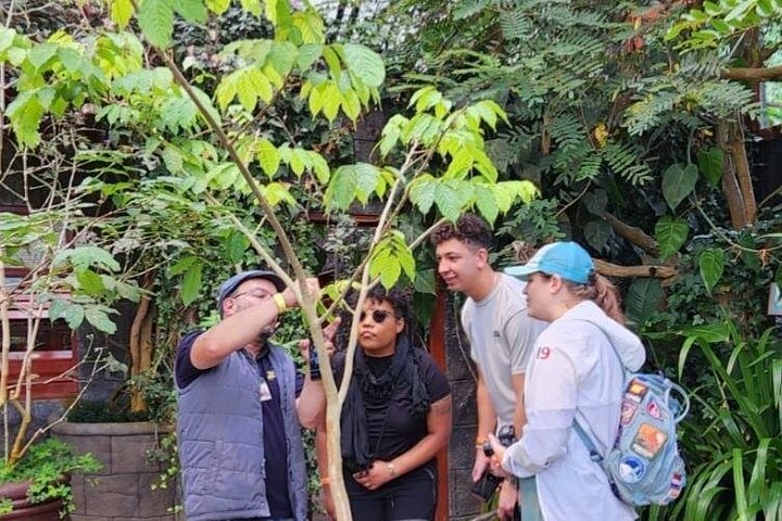 Heldagstur i Costa Rica med Poás-vulkanen, La Paz Waterfall Gardens och en kaffeplantage, foto 21 | wizardtrip