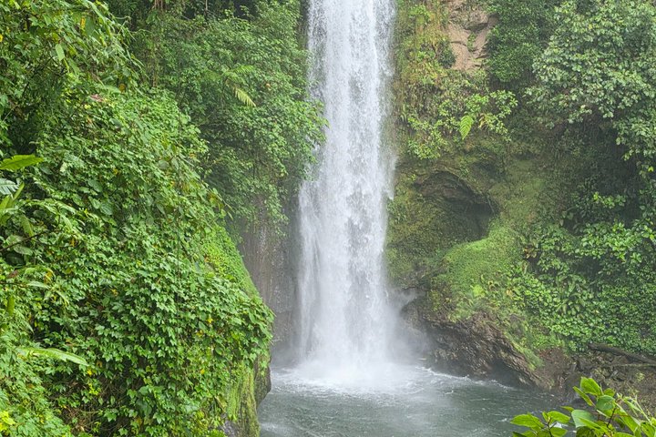Heldagstur i Costa Rica med Poás-vulkanen, La Paz Waterfall Gardens och en kaffeplantage, foto 29 | wizardtrip