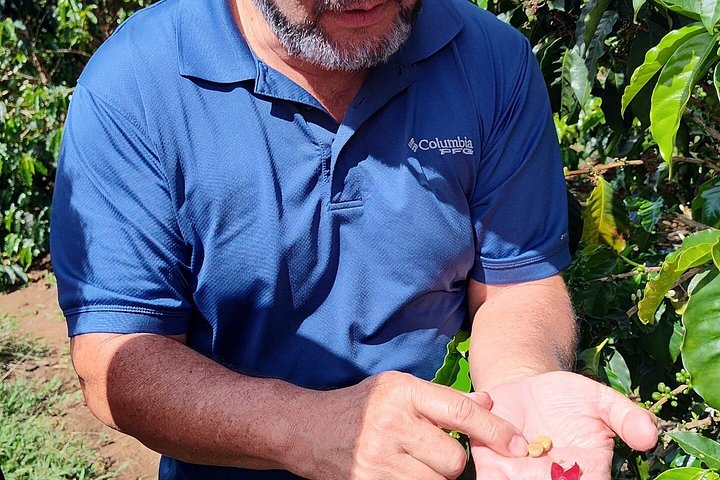 Heldagstur i Costa Rica med Poás-vulkanen, La Paz Waterfall Gardens och en kaffeplantage, foto 32 | wizardtrip