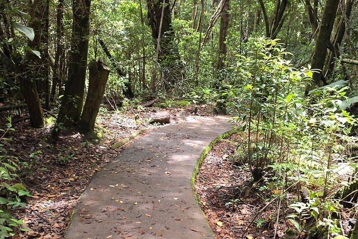 Heldagstur i Costa Rica med Poás-vulkanen, La Paz Waterfall Gardens och en kaffeplantage, foto 33 | wizardtrip