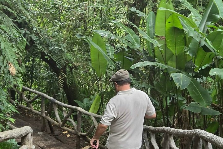 Heldagstur i Costa Rica med Poás-vulkanen, La Paz Waterfall Gardens och en kaffeplantage, foto 35 | wizardtrip