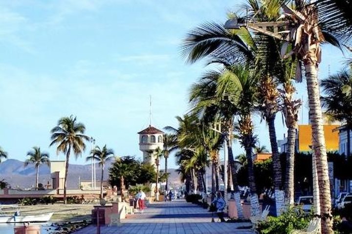 Simma med valhajar i La Paz, Mexiko, på en guidad snorklingstur från Los Cabos, foto 8 | wizardtrip