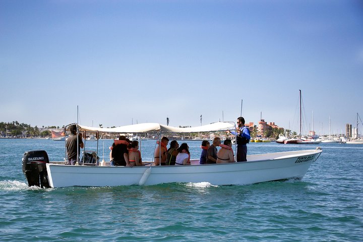 Simma med valhajar i La Paz, Mexiko, på en guidad snorklingstur från Los Cabos, foto 10 | wizardtrip