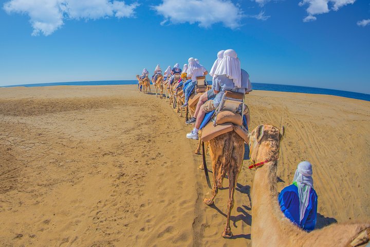 Camel ride on a secluded beach in Cabo San Lucas, Mexico, with ocean views and buffet lunch, photo 1 | wizardtrip
