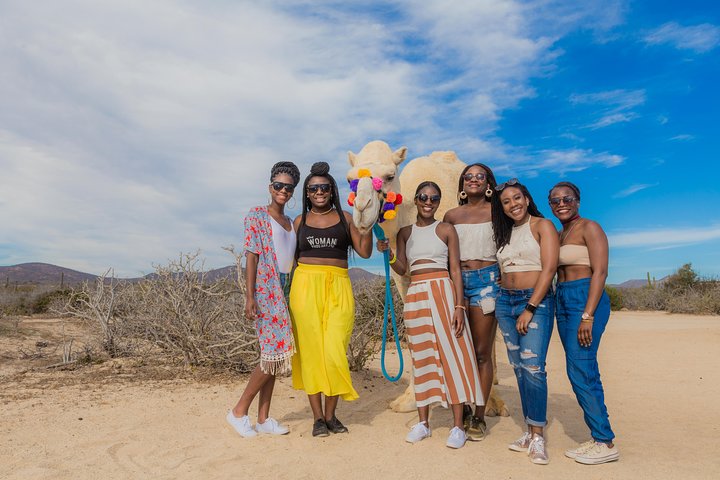 Kamelenrit op een afgelegen strand in Cabo San Lucas, Mexico, met uitzicht op de oceaan en lunchbuffet, foto 8 | wizardtrip