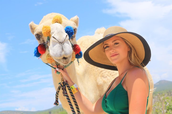 Kamelenrit op een afgelegen strand in Cabo San Lucas, Mexico, met uitzicht op de oceaan en lunchbuffet, foto 10 | wizardtrip