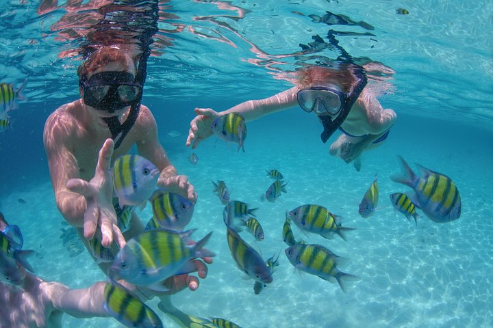 Lyxig segelbåtskryssning i Cabo San Lucas med snorkling, paddleboarding och lunch, foto 12 | wizardtrip