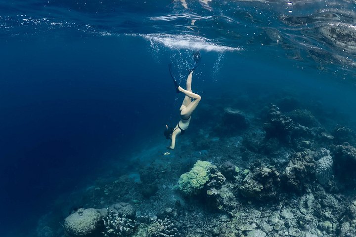Lyxig segelbåtskryssning i Cabo San Lucas med snorkling, paddleboarding och lunch, foto 16 | wizardtrip