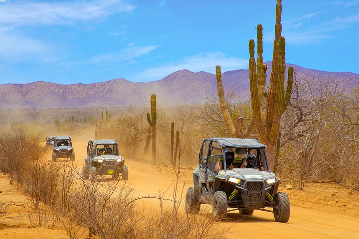Excursion UTV 2 places à Cabo San Lucas : Aventure tout-terrain, déjeuner et tequila | wizardtrip