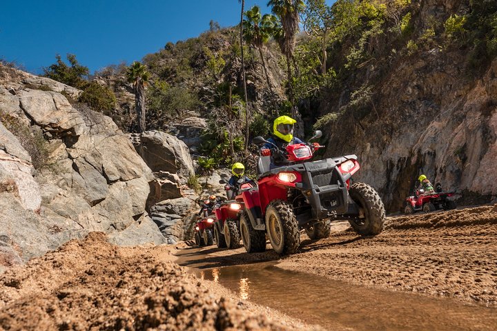 Excursion 4x4 en quad avec dégustation de tequila et déjeuner buffet mexicain | wizardtrip