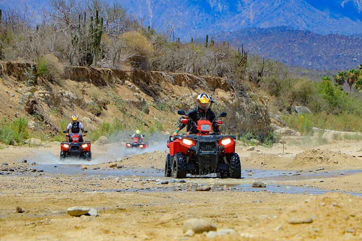 Vivez une aventure exaltante en quad 4x4 dans le désert de la Baja avec un buffet mexicain et une dégustation de tequila à Los Cabos, photo 7 | wizardtrip