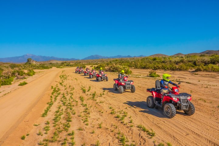 Vivez une aventure exaltante en quad 4x4 dans le désert de la Baja avec un buffet mexicain et une dégustation de tequila à Los Cabos, photo 8 | wizardtrip