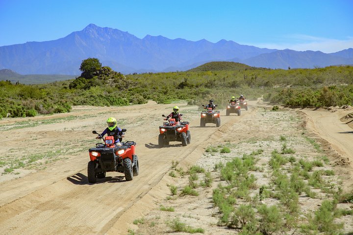 Vivez une aventure exaltante en quad 4x4 dans le désert de la Baja avec un buffet mexicain et une dégustation de tequila à Los Cabos, photo 9 | wizardtrip