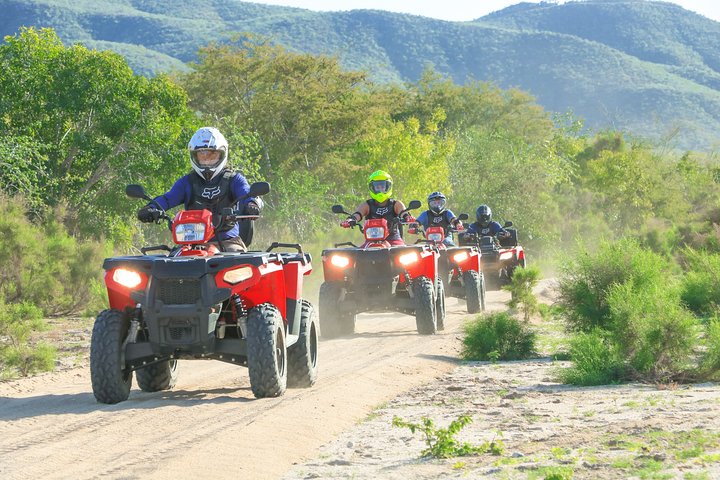 Vivez une aventure exaltante en quad 4x4 dans le désert de la Baja avec un buffet mexicain et une dégustation de tequila à Los Cabos, photo 11 | wizardtrip