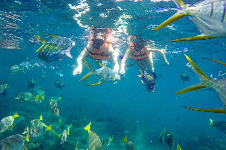 Goditi una crociera in catamarano, snorkeling e pranzo a Cabo San Lucas, foto 9 | wizardtrip