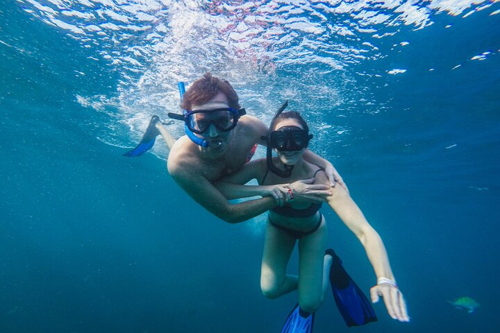 Goditi una crociera in catamarano, snorkeling e pranzo a Cabo San Lucas, foto 10 | wizardtrip