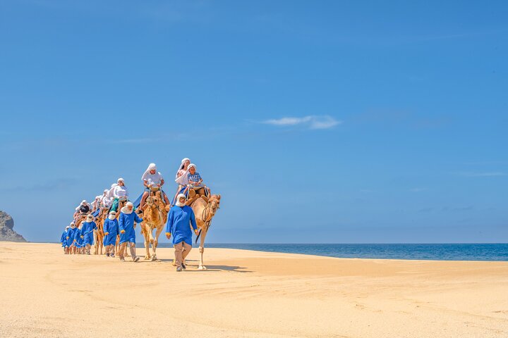 Experimente um emocionante passeio de ATV, um passeio de camelo na praia e uma degustação de tequila em Cabo San Lucas, foto 8 | wizardtrip