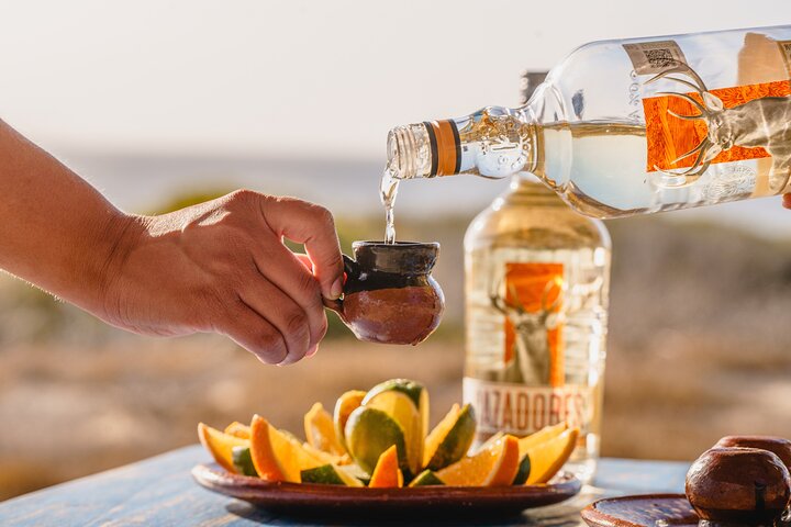 Experimente um emocionante passeio de ATV, um passeio de camelo na praia e uma degustação de tequila em Cabo San Lucas, foto 10 | wizardtrip