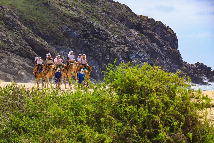 Experimente um emocionante passeio de ATV, um passeio de camelo na praia e uma degustação de tequila em Cabo San Lucas, foto 11 | wizardtrip