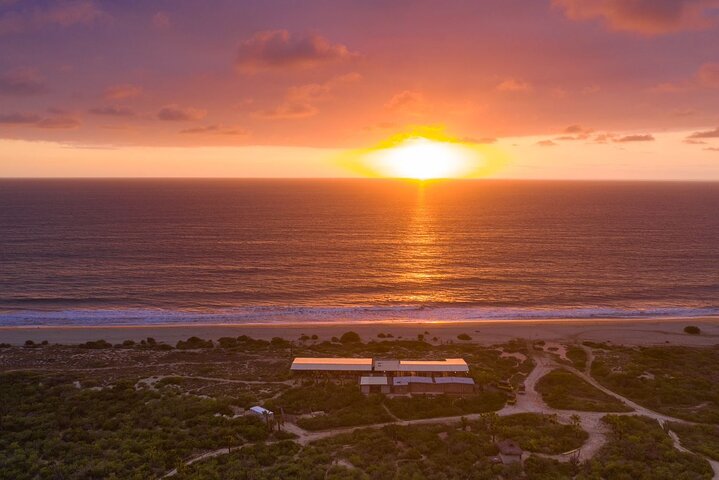 Giro in cammello al tramonto sulla spiaggia a Cabo San Lucas con buffet messicano e degustazione di tequila, foto 6 | wizardtrip