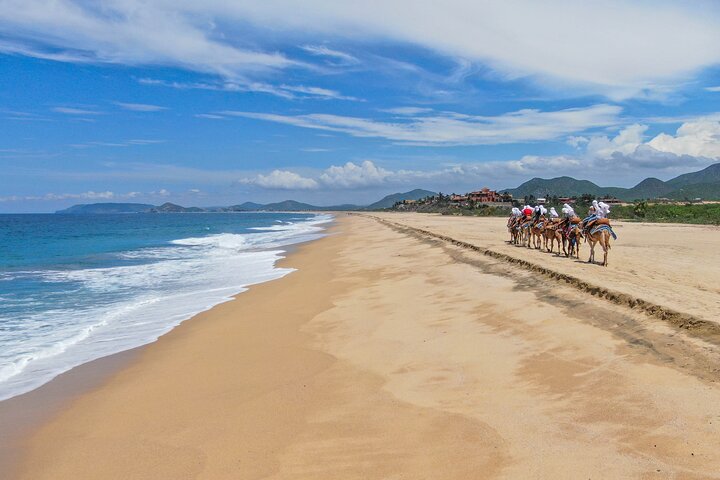 Giro in cammello al tramonto sulla spiaggia a Cabo San Lucas con buffet messicano e degustazione di tequila, foto 7 | wizardtrip