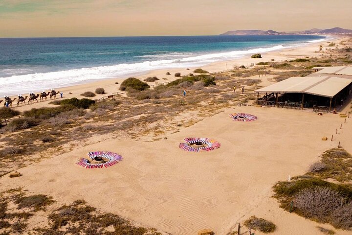 Giro in cammello al tramonto sulla spiaggia a Cabo San Lucas con buffet messicano e degustazione di tequila, foto 9 | wizardtrip
