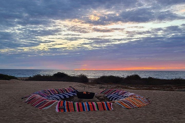 Giro in cammello al tramonto sulla spiaggia a Cabo San Lucas con buffet messicano e degustazione di tequila, foto 10 | wizardtrip