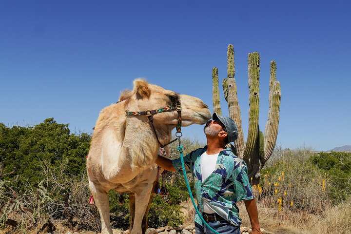 Todos Santos | wizardtrip