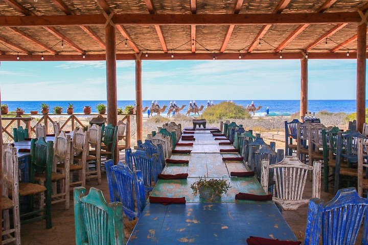 Tour durch Todos Santos, Mexiko, mit Kamelen, Essen und lokaler Kultur, Foto 7 | wizardtrip
