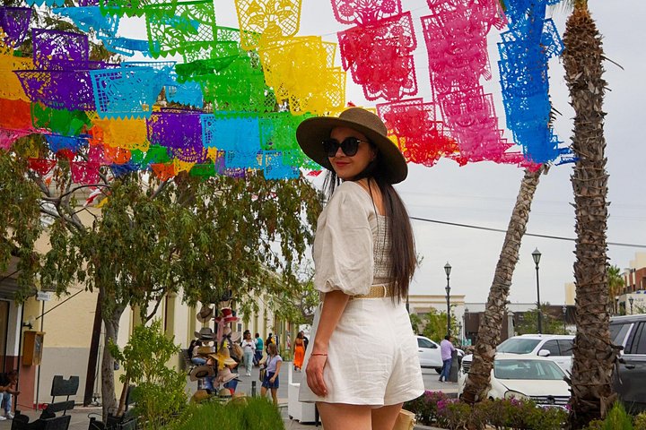 En 6-timers guidet tur i Los Cabos, Mexico, med bådtur til Arch, besøg på kulturelle fabrikker og frokost, foto 8 | wizardtrip