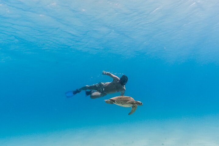 Snorkeling and kayaking adventure at Balandra Beach, La Paz, Mexico, photo 8 | wizardtrip