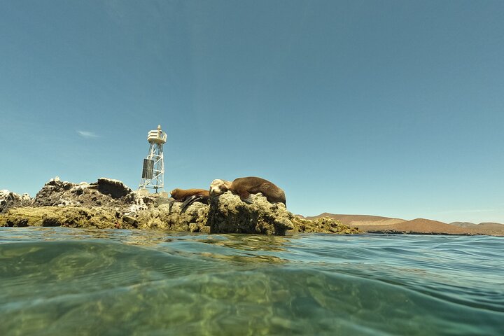 Snorkeling and kayaking adventure at Balandra Beach, La Paz, Mexico, photo 12 | wizardtrip
