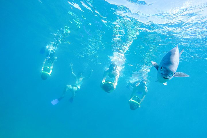 Avventura di Snorkeling a Los Cabos, Kayak e Stand-Up Paddle | wizardtrip