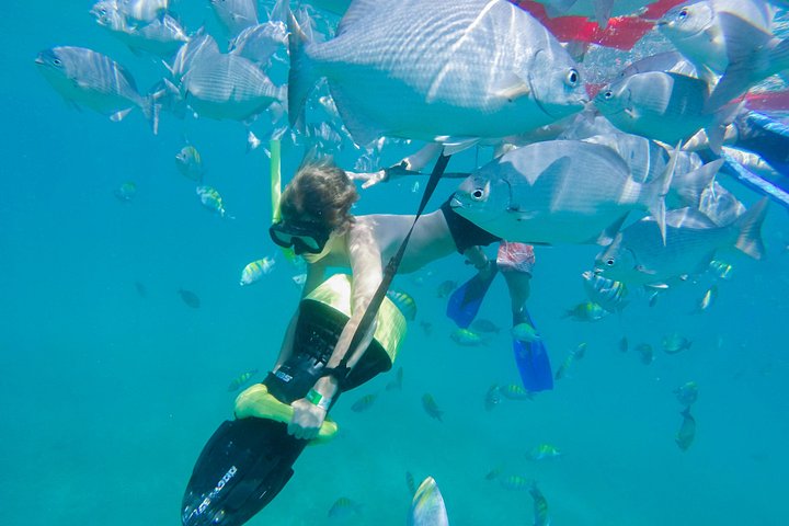Goditi un'emozionante avventura di sport acquatici a Cabo San Lucas, Messico, con snorkeling, kayak e paddleboard, foto 7 | wizardtrip