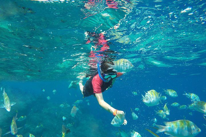 Goditi un'emozionante avventura di sport acquatici a Cabo San Lucas, Messico, con snorkeling, kayak e paddleboard, foto 13 | wizardtrip