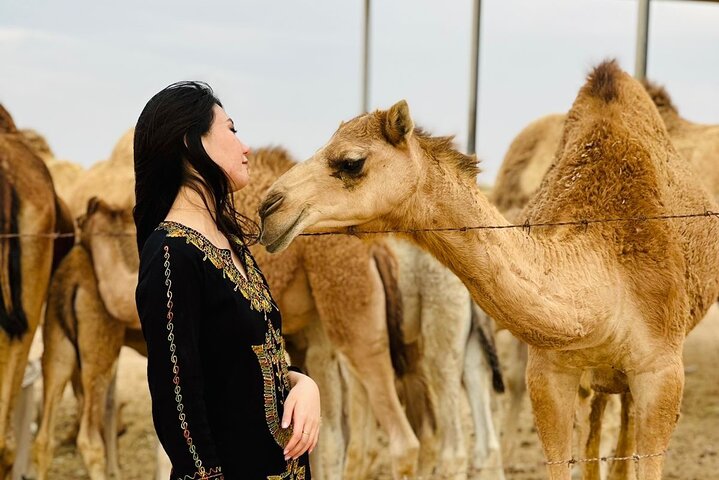 Experience an Abu Dhabi desert safari with dune bashing, camel rides, live shows, and BBQ dinner, photo 7 | wizardtrip