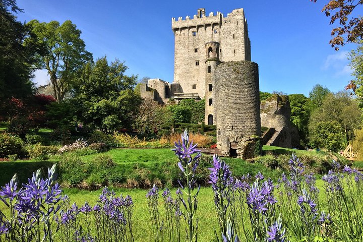 Cork | wizardtrip