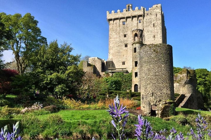 Shore excursion from Cobh to Blarney Castle, Cork City, and Kinsale, Ireland, photo 6 | wizardtrip