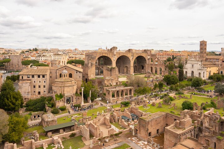 Tour guidato dell'iconico Colosseo, Foro Romano e Palatino di Roma, foto 21 | wizardtrip