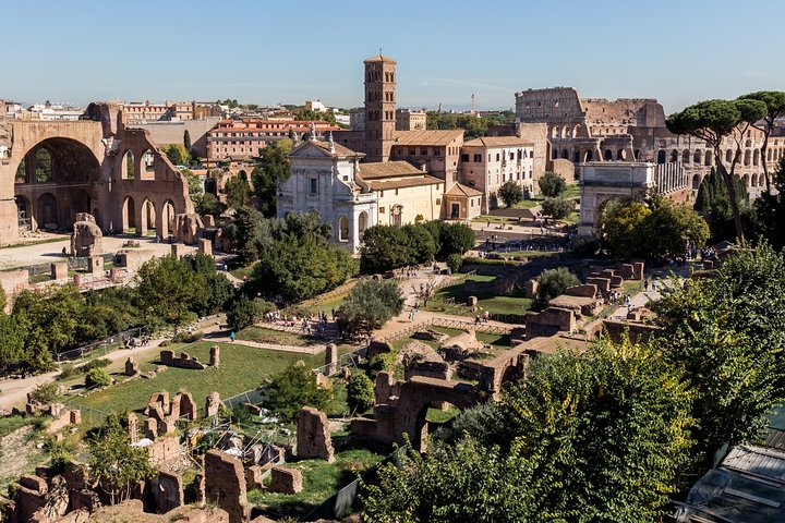 Tour guidato dell'iconico Colosseo, Foro Romano e Palatino di Roma, foto 30 | wizardtrip