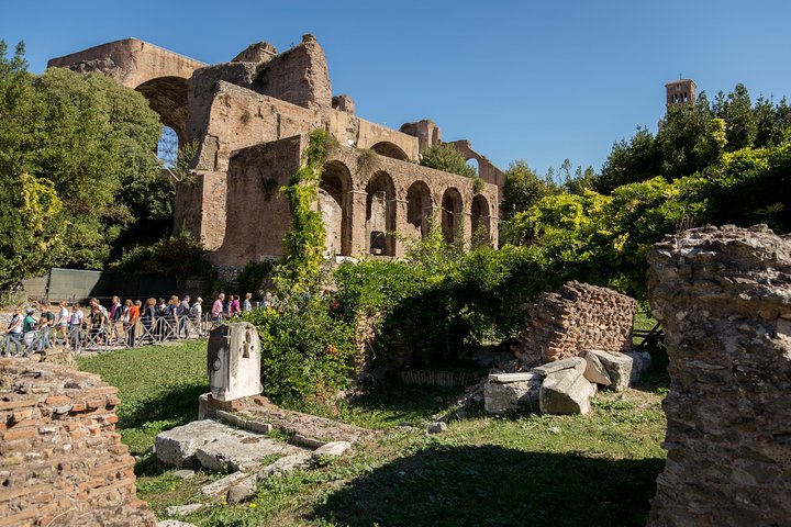 Tour guidato dell'iconico Colosseo, Foro Romano e Palatino di Roma, foto 31 | wizardtrip
